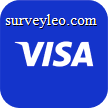 Visa logo logo