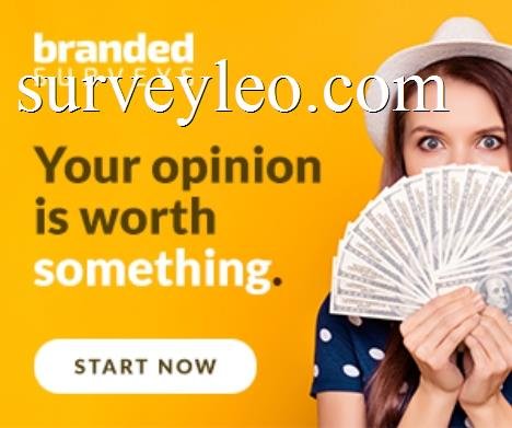 branded surveys banner2