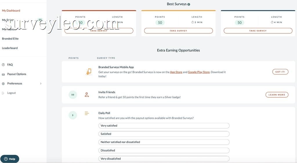 branded surveys dashboard